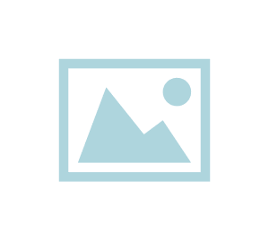 Vedavet Diet Struvite for Cats